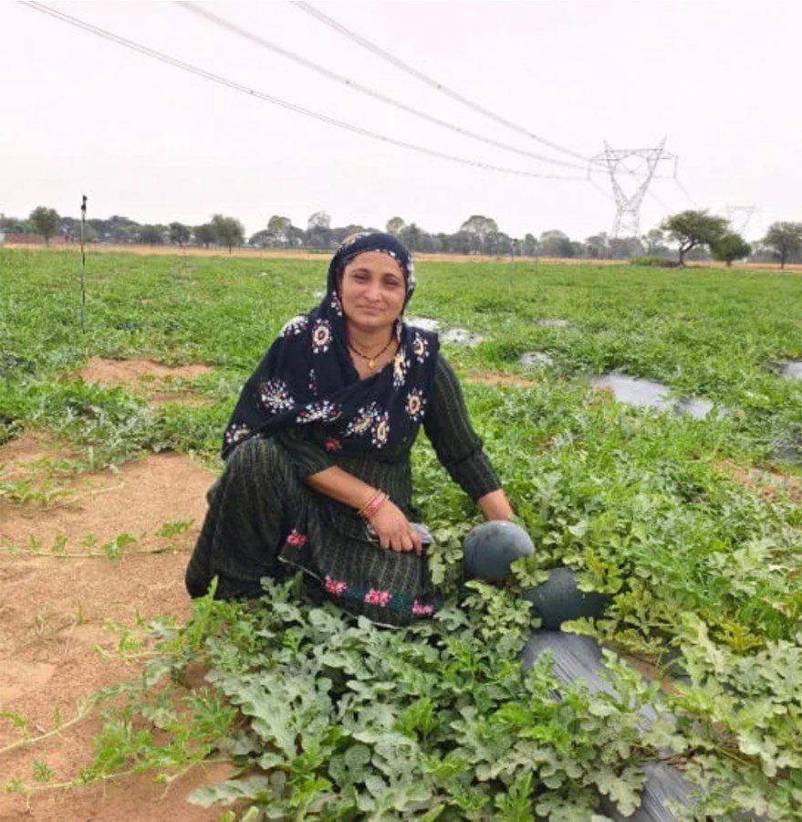 Portrait of a farmer kneeling in a watermelon field